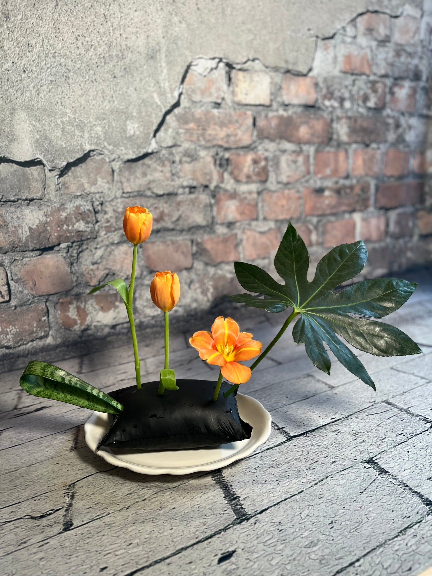 OshunPouch® Products