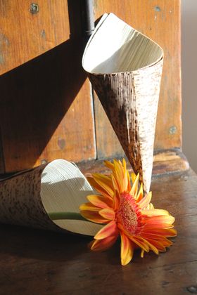 Bamboo Leaf Cone 10pk