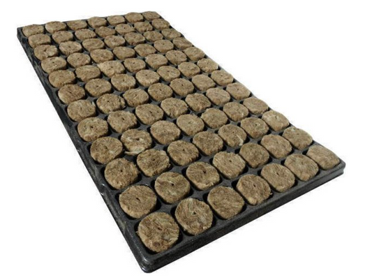 Speedgrow Plugs Case (924)