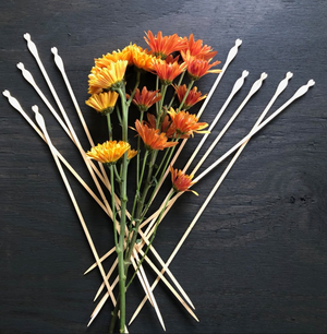 Singular Stems & Bunches – DRIED Limited